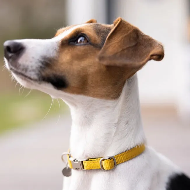 HKM Anam Cara Dog Collar