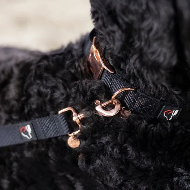 HKM Anam Cara Dog Collar