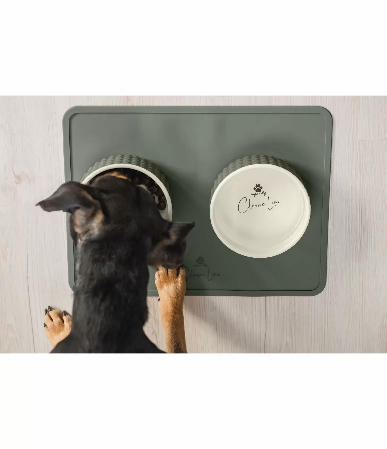 Salinas Silicone Dog Bowl Stand - Google SEO Friendly