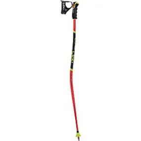 Ski Racing Poles WCR Lite GS 3D